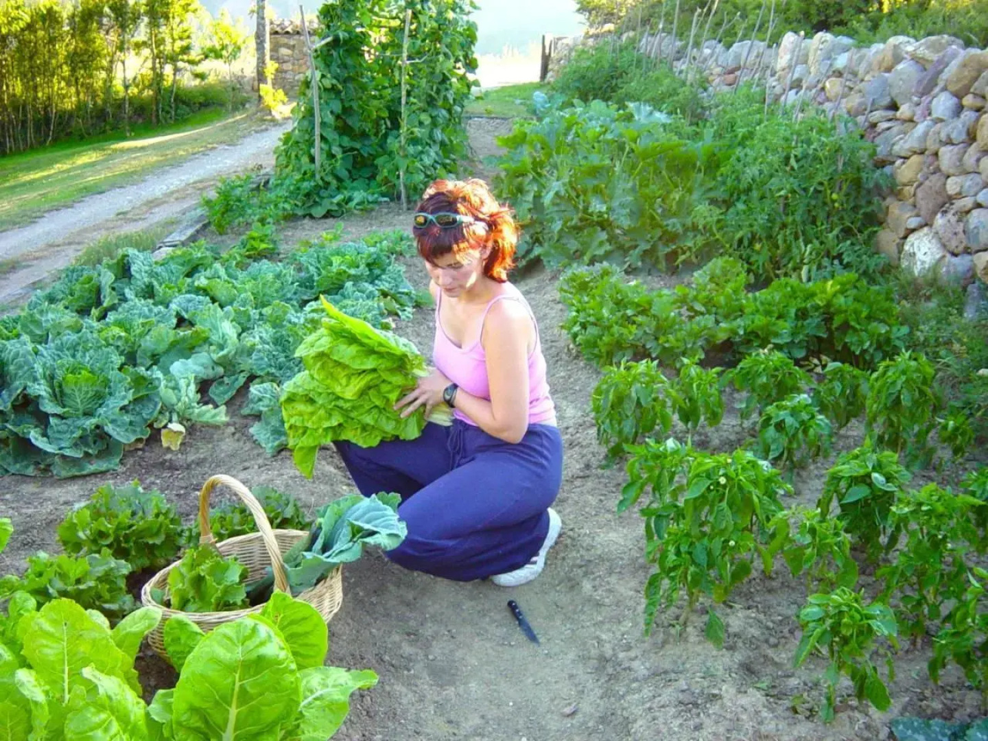 Cal Pesolet Eco Turisme Rural