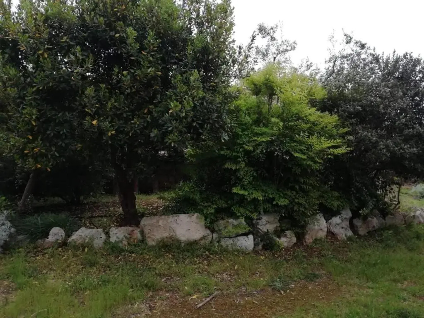 Giardini Irlandesi B&B