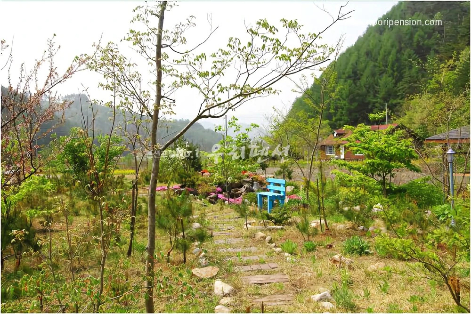 Jeongseon Click Pension