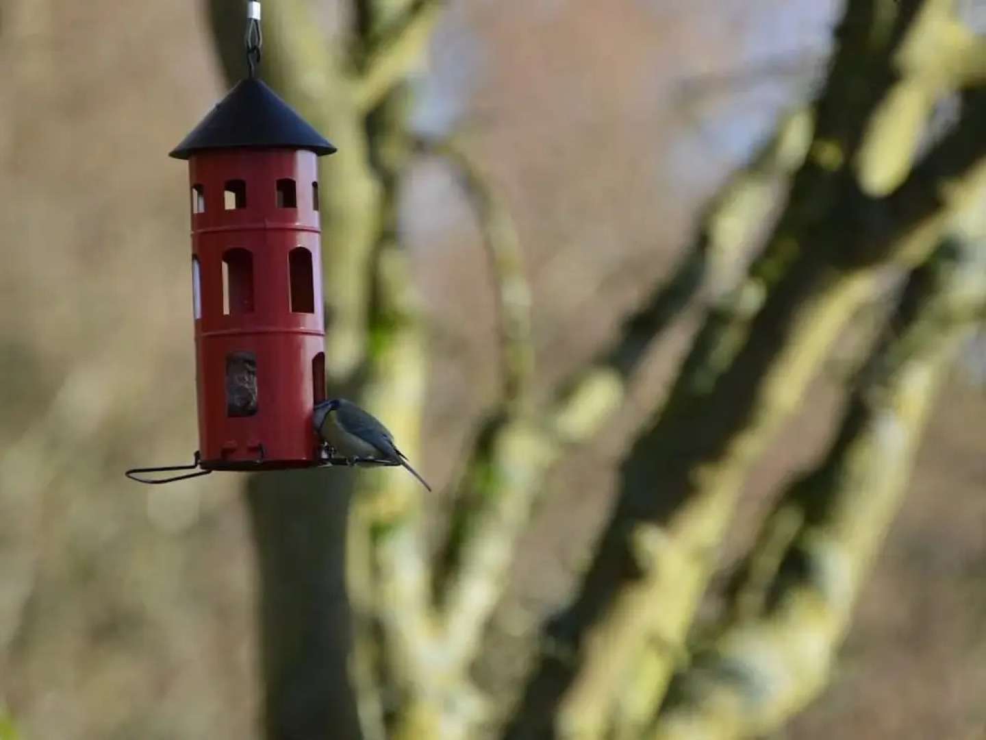 Whitewells Farm Cottages