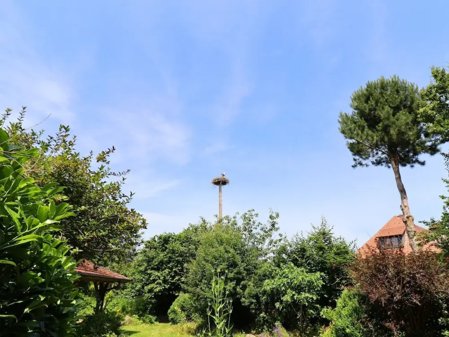 Rustic-style Apartment in Buschenhagen With Garden