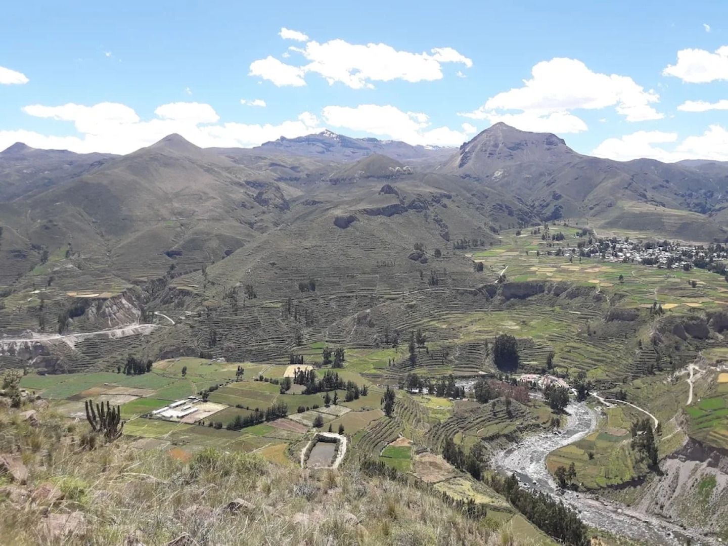 La Casa De Mi Abuela