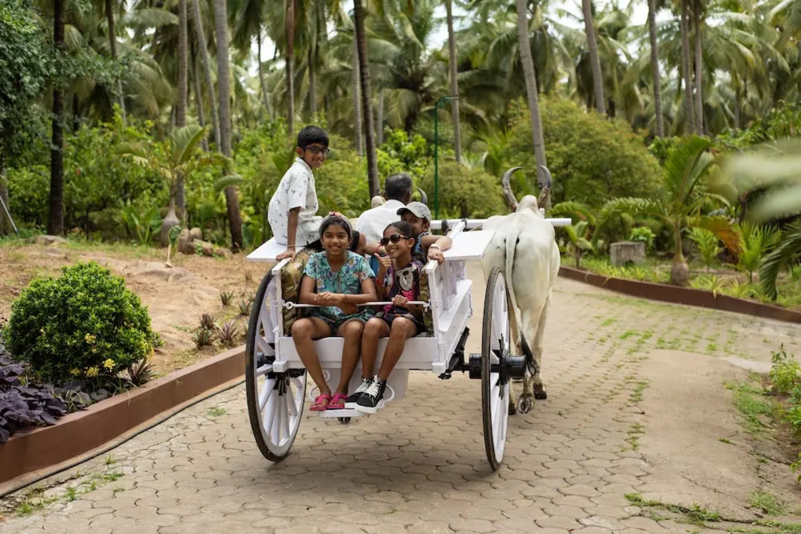 Ibex River Resort , Pollachi