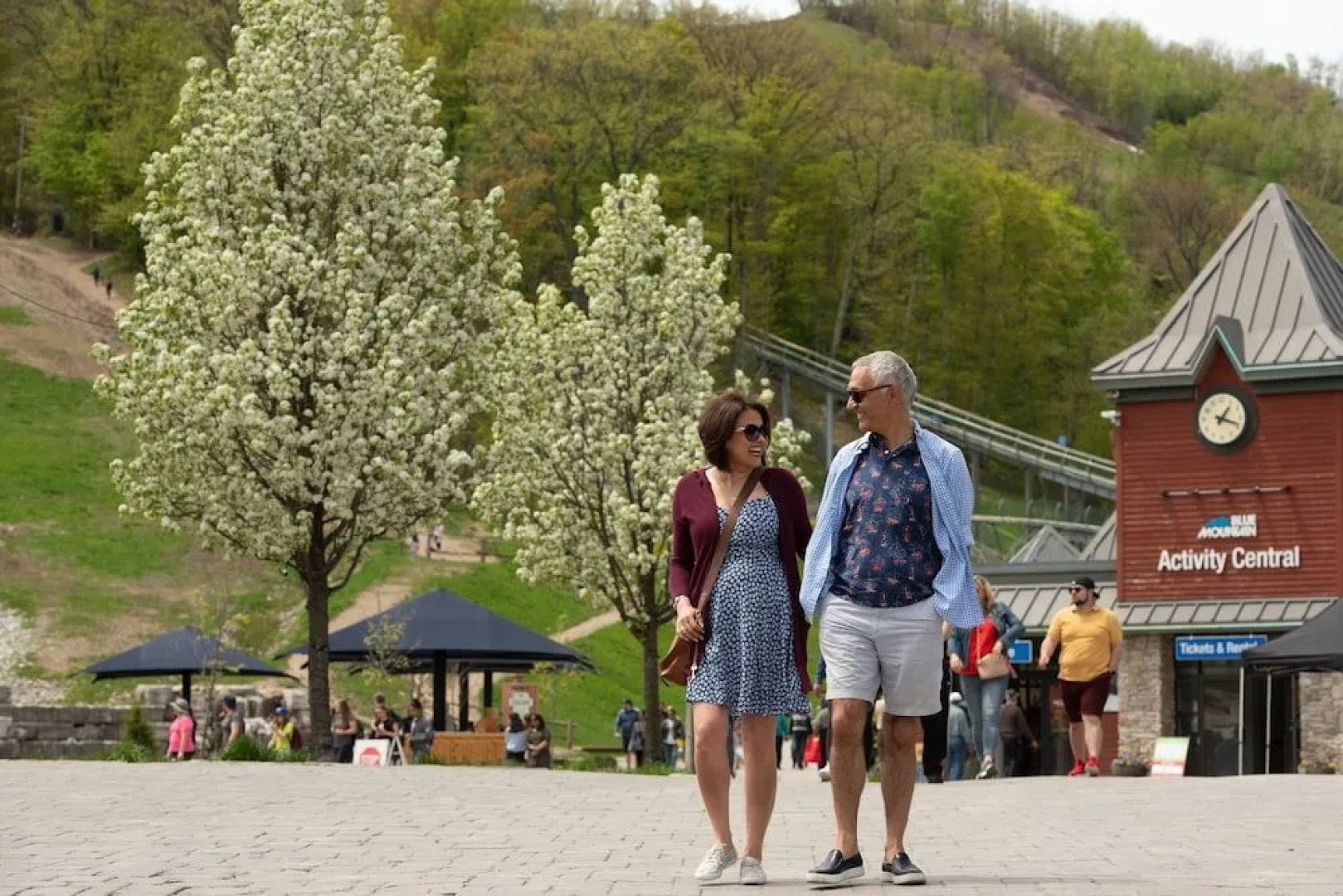 Blue Mountain Resort Mosaic Suites