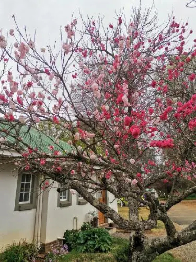 Sani Window B&B and Self catering