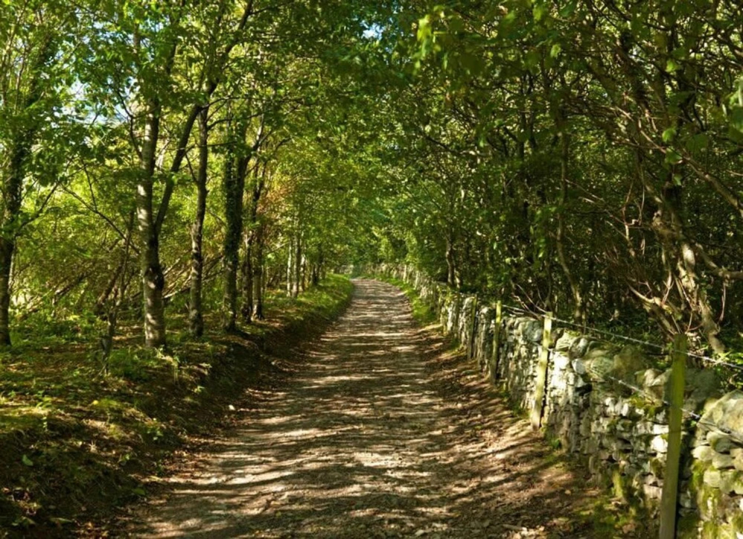 17 'talitha' Bell Tent Glamping Anglesey