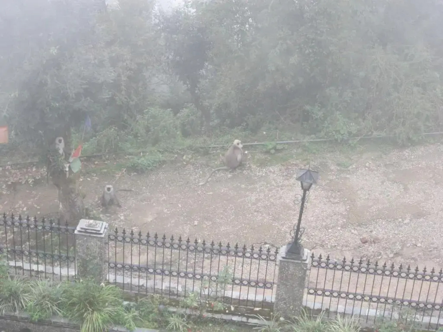 The Horizon Villa-North