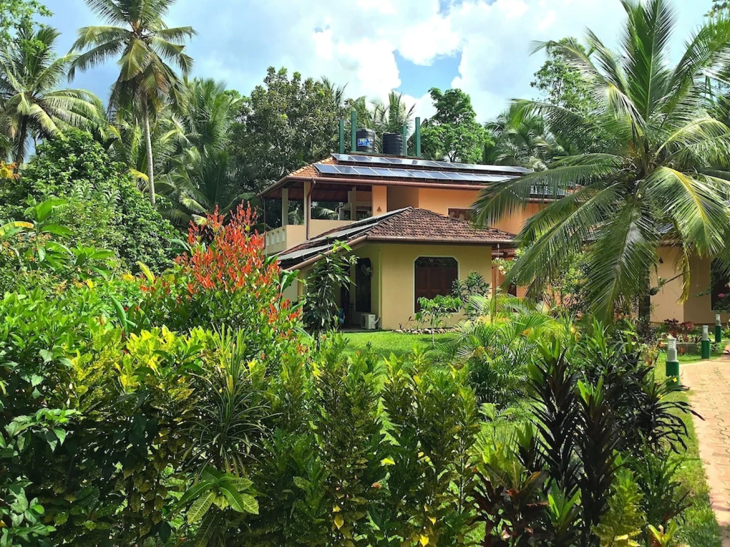 King Coconut Lodge