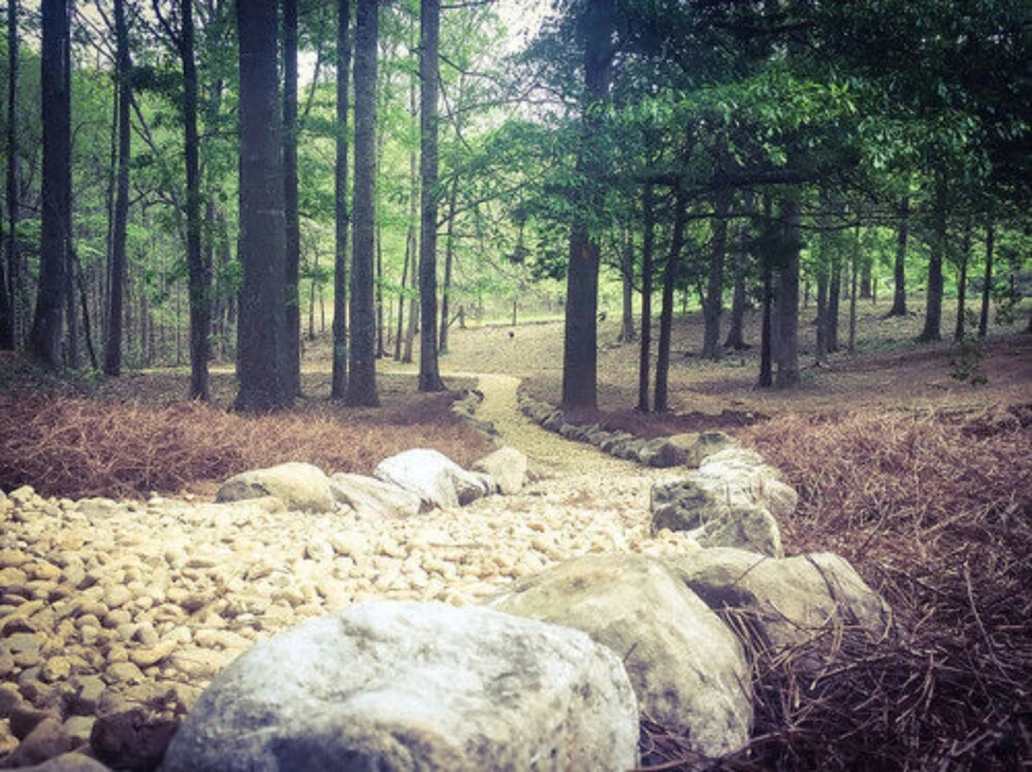 Serenity Pointe Bed and Breakfast