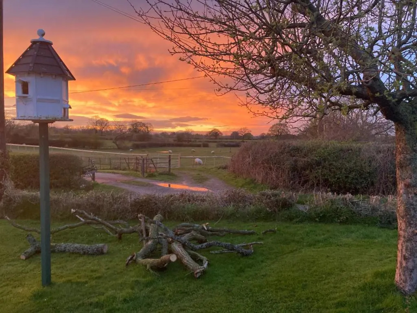 The Shepherd's Hut with seasonal Swimming Pool