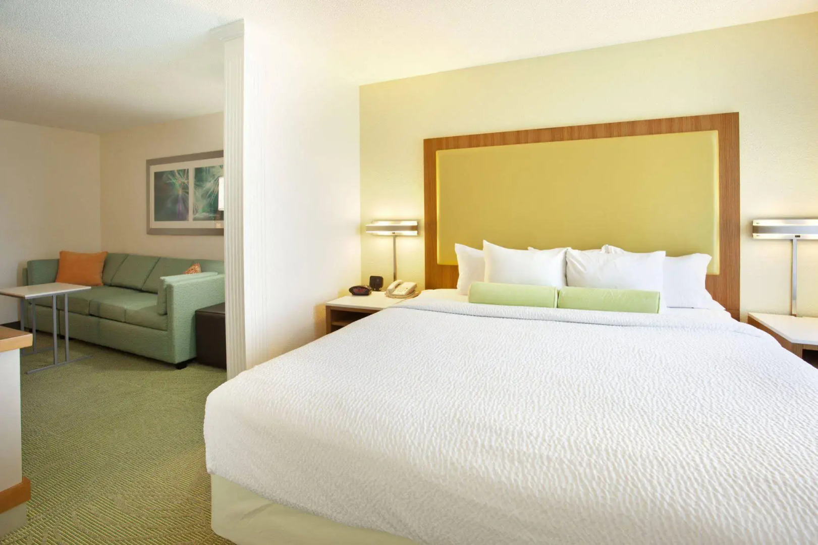 Springhill Suites By Marriott Metro Center