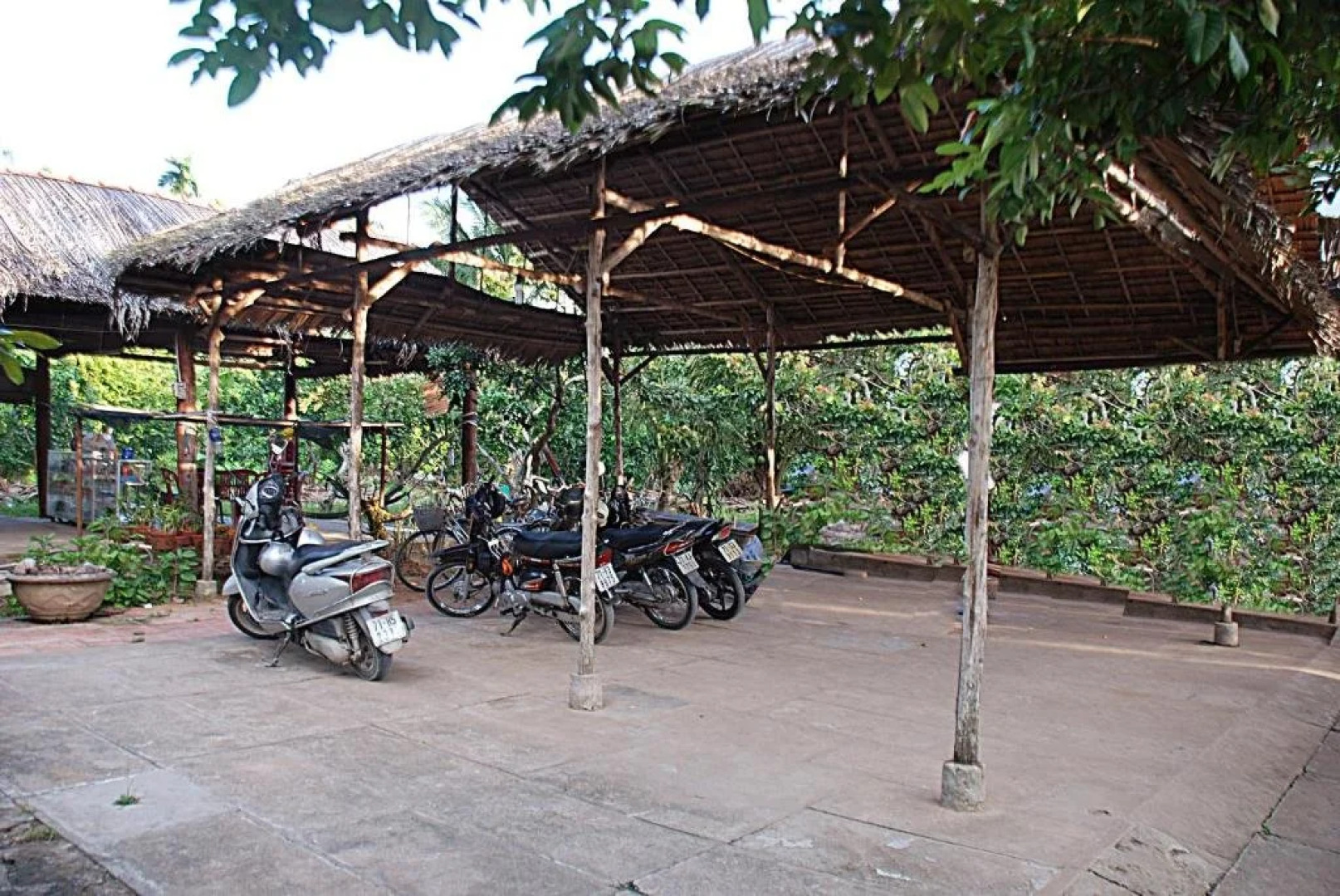 Thao Nhi Hotel