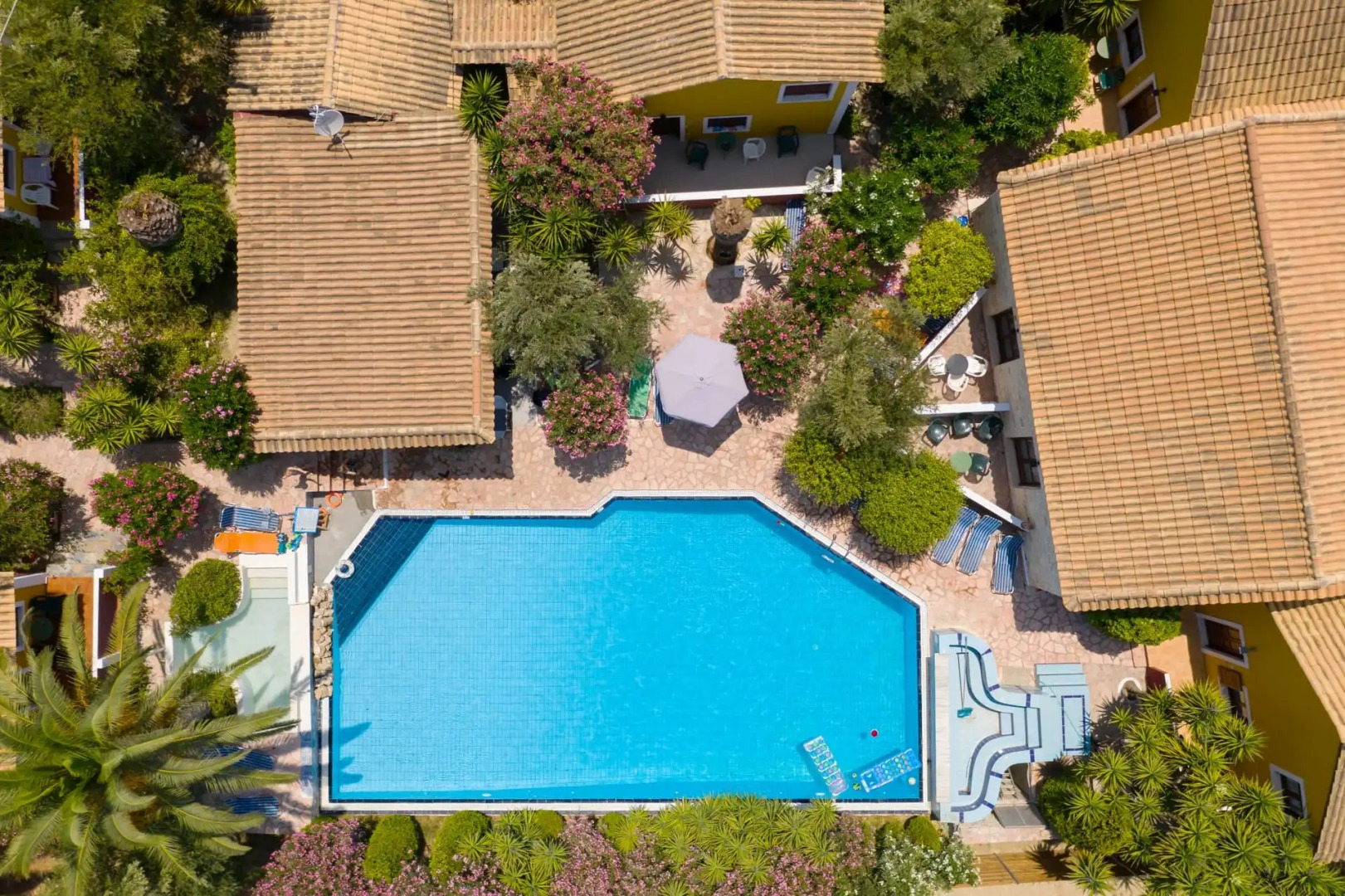 Garden of Eden Zante