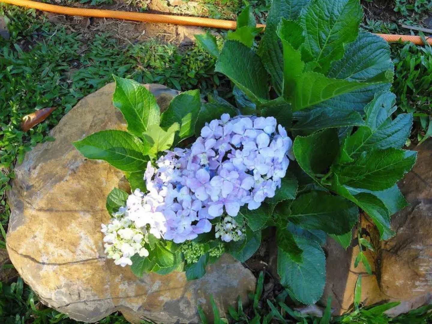 Pousada Maibe Amanhecer na Serra