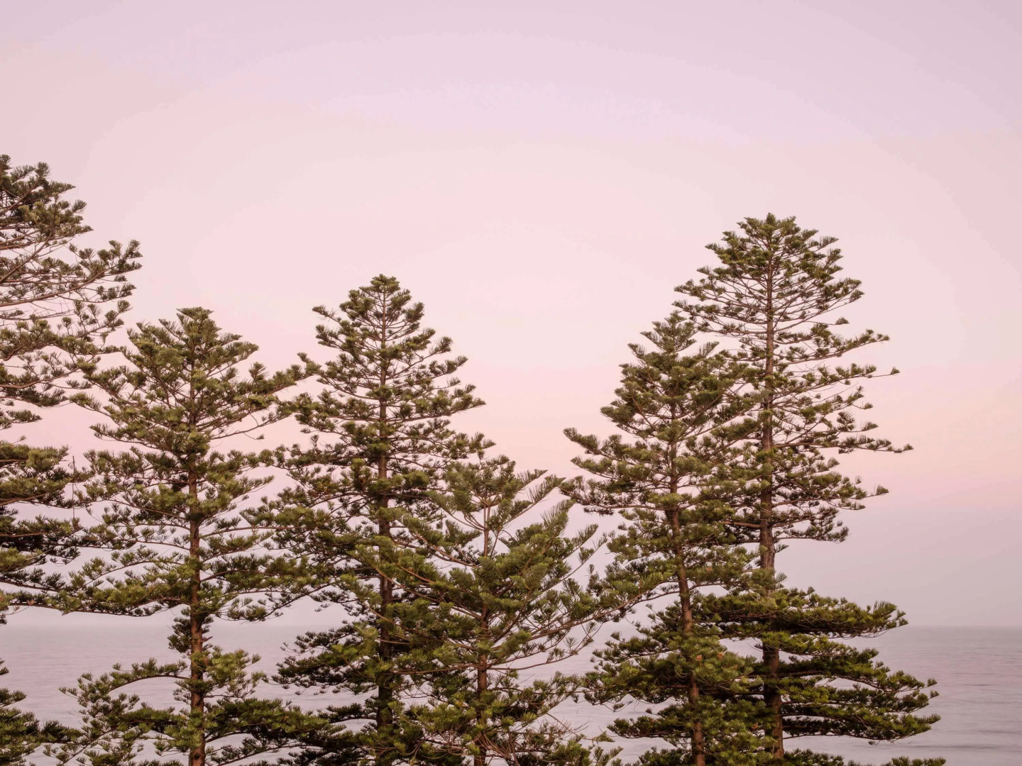 Manly Pacific Sydney MGallery Collection