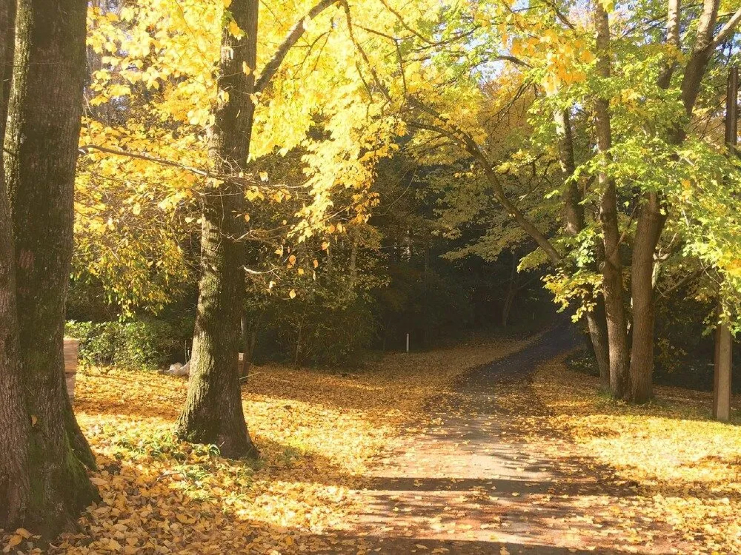 Sherwoode Bed and Breakfast