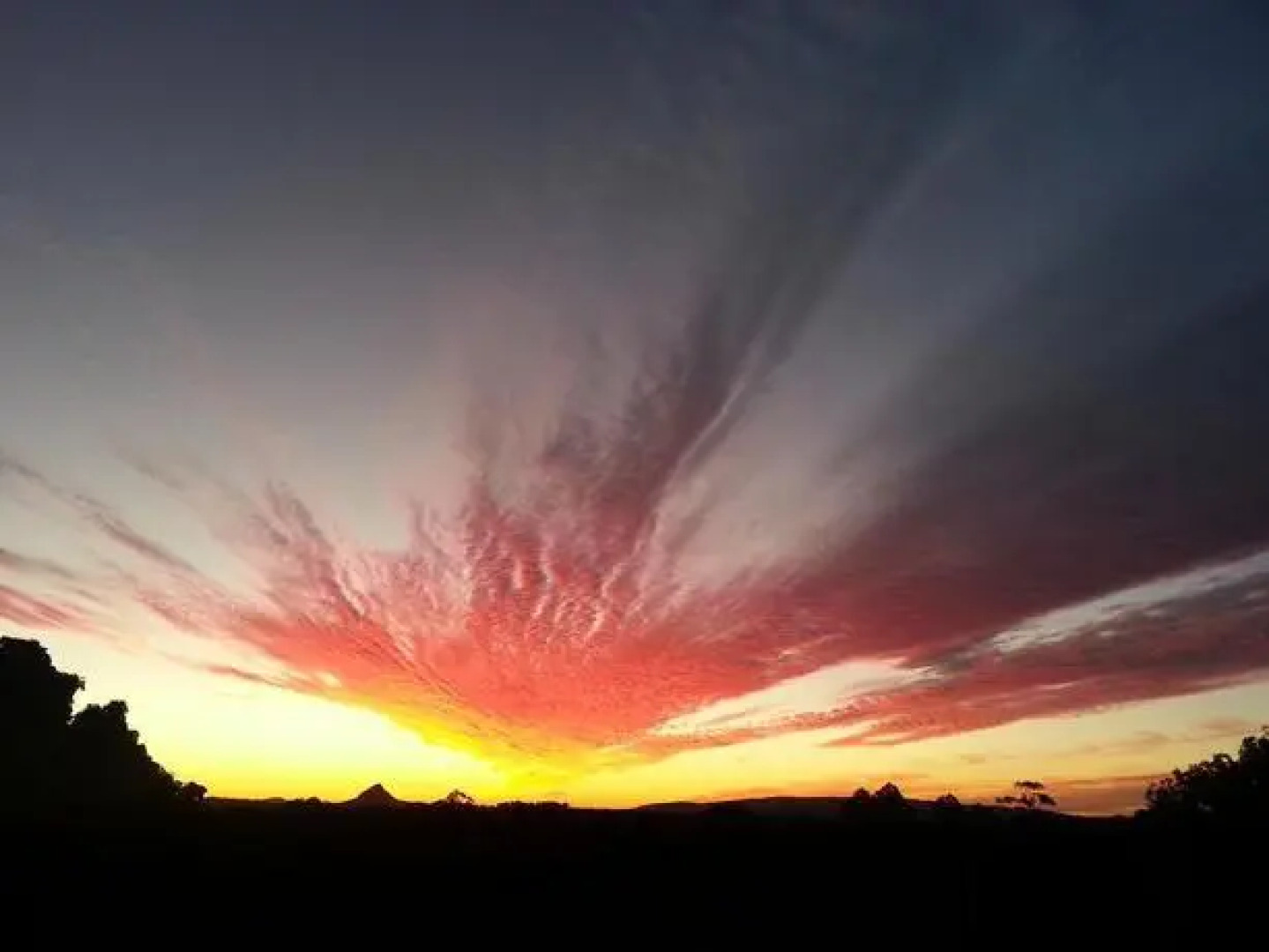 Quality Suites Ivory Palms