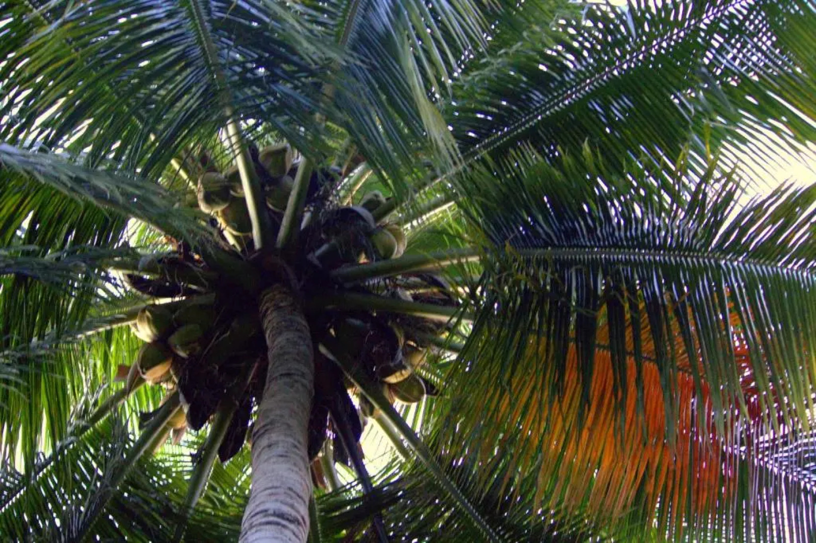 Pepper Hills Cottages