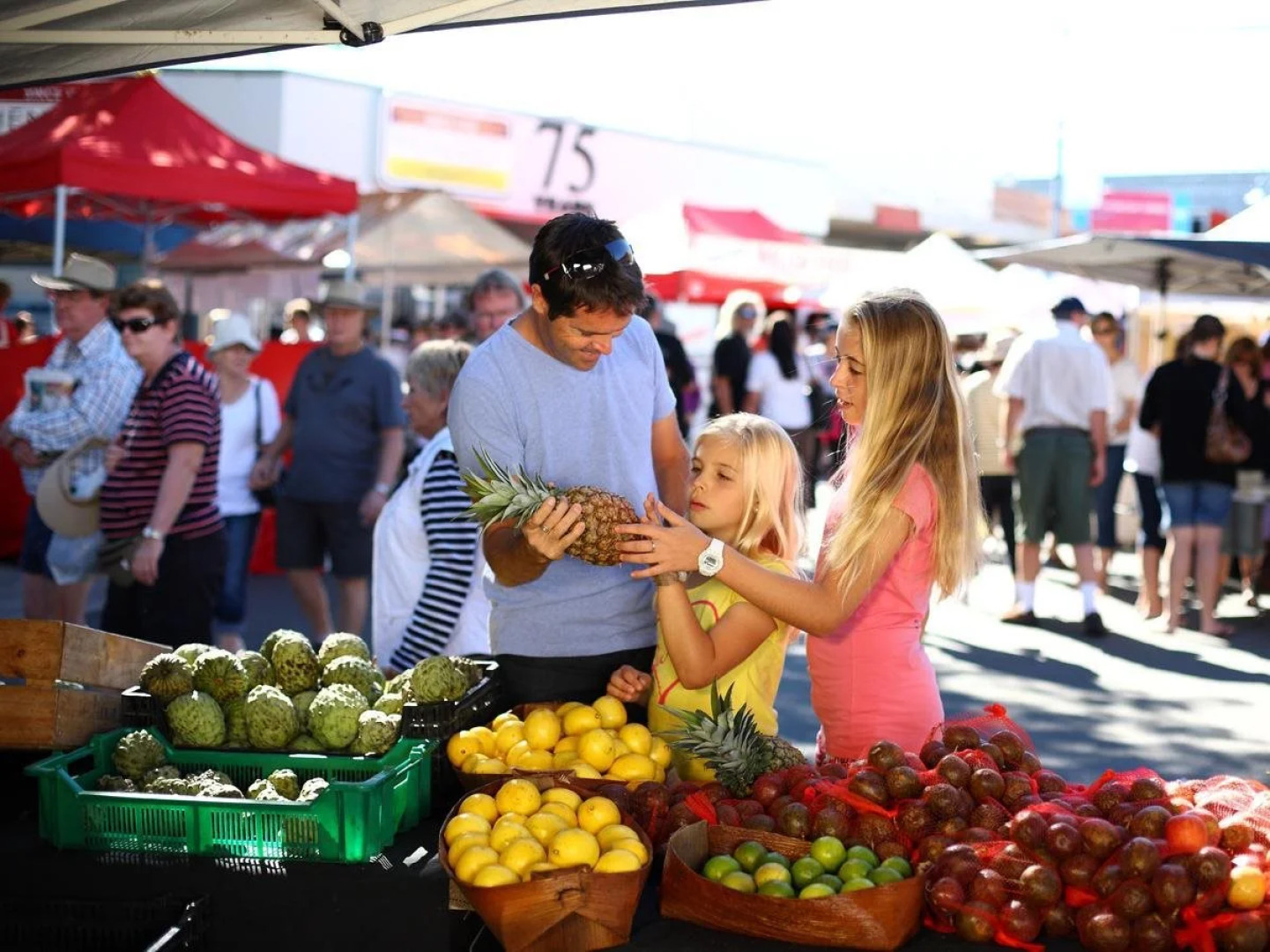 Tranquil Shores Holiday Apartment