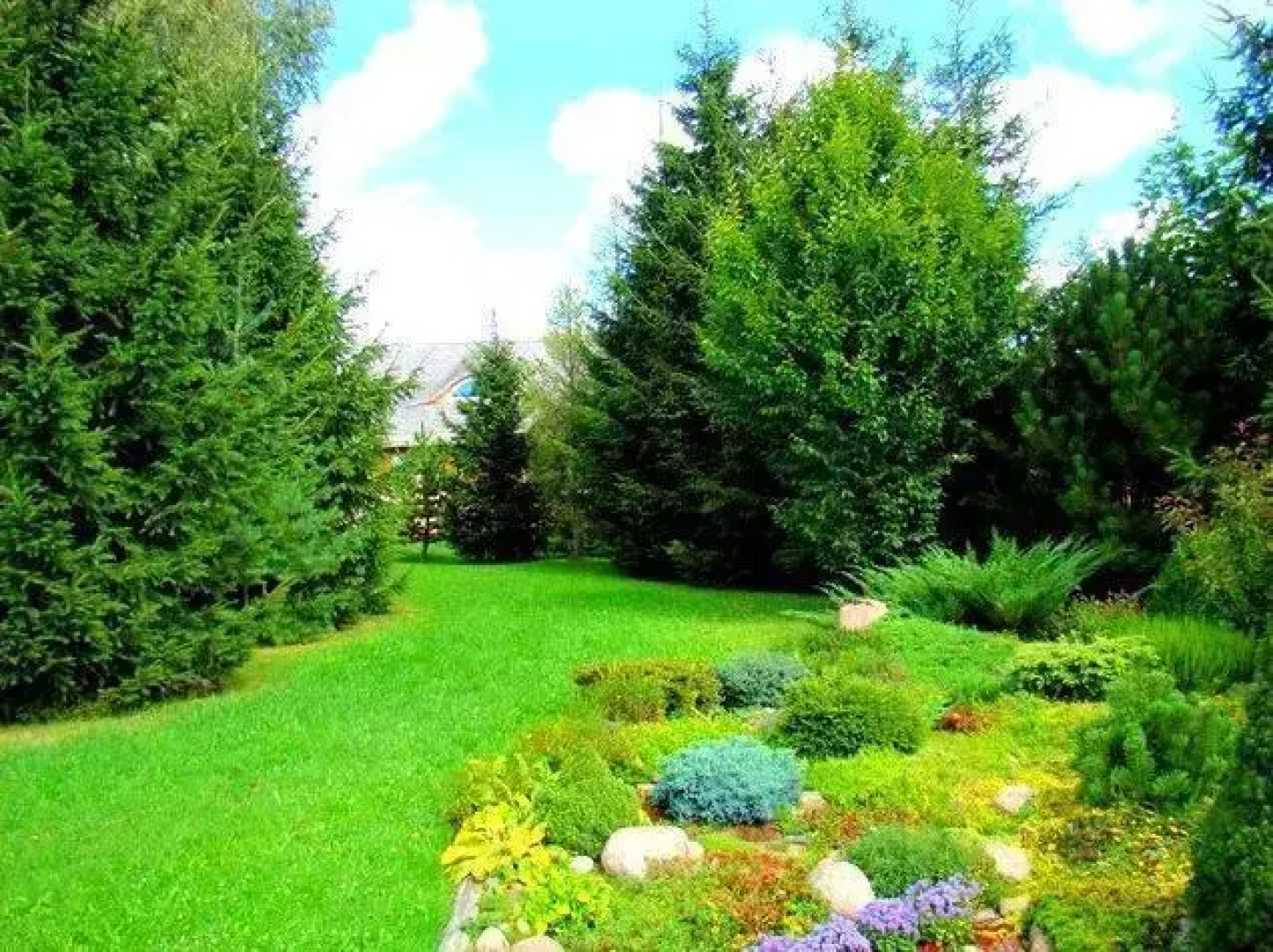 Apartamenty i Galeria Kresy