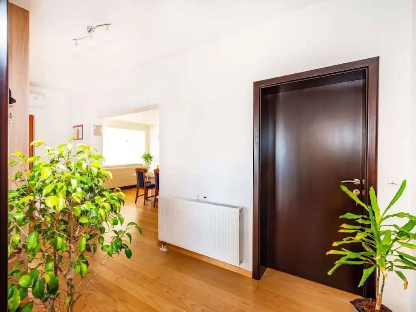 Delightful Apartment in Radovin With Garden