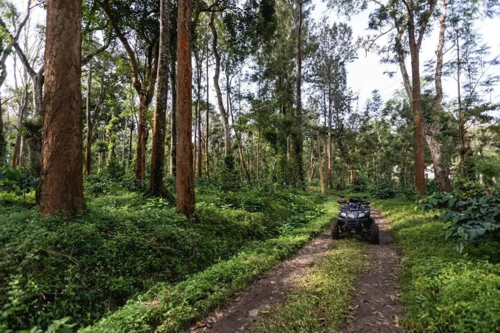 Tusker Trail