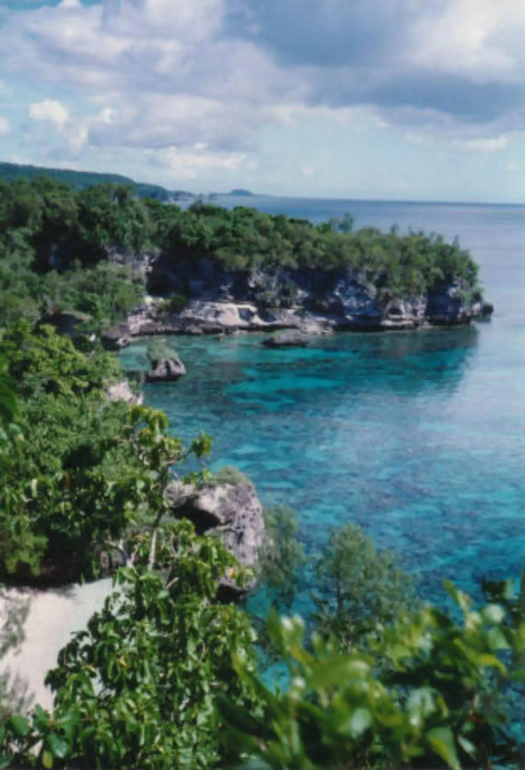 Tranquility Island Resort