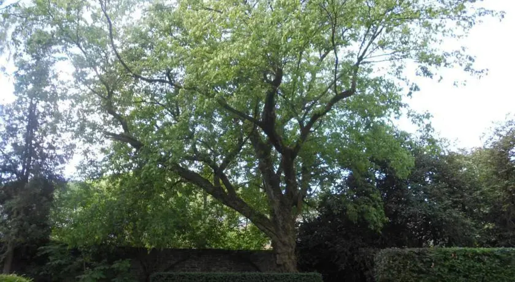 Holiday home Ardennendatsja