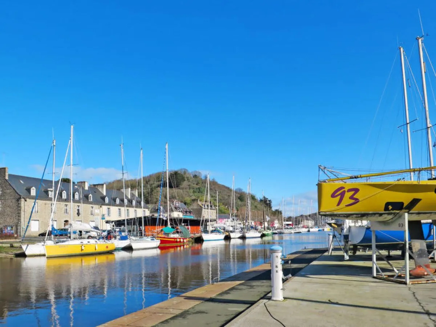 Le Cedre Bleu (PLX107)