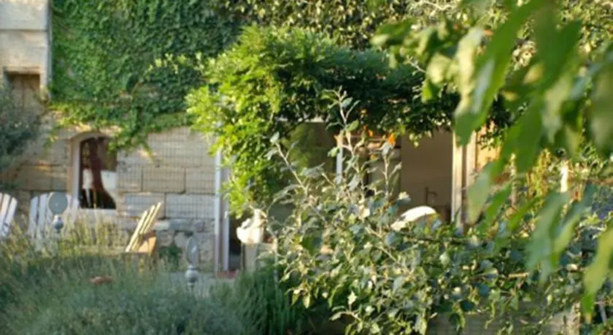 Maison DHôtes LArbre Rouge