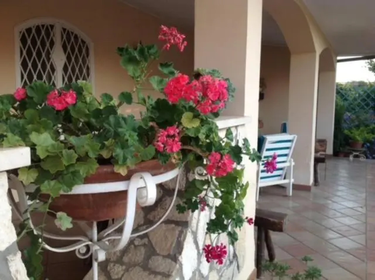 Il Glicine di Carmen