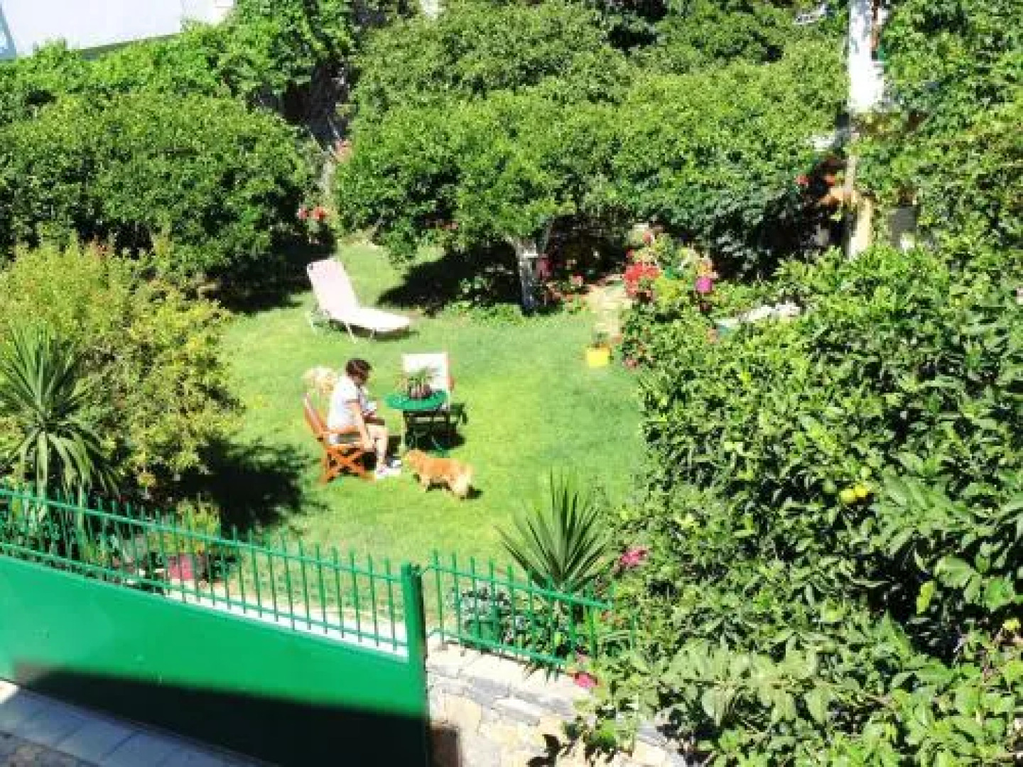 Zorbas Hotel And Apartments