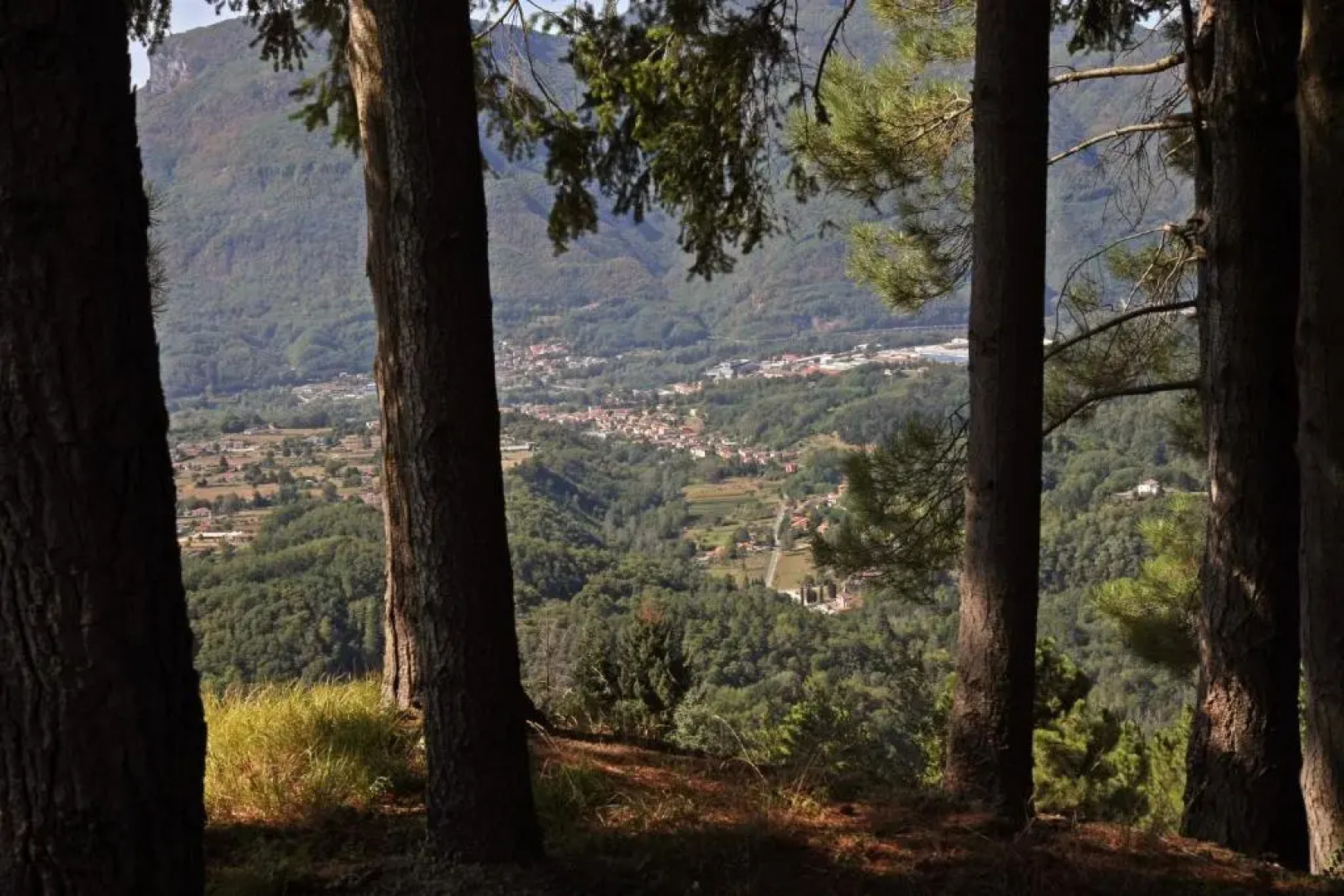 Agriturismo I Cerretelli 2