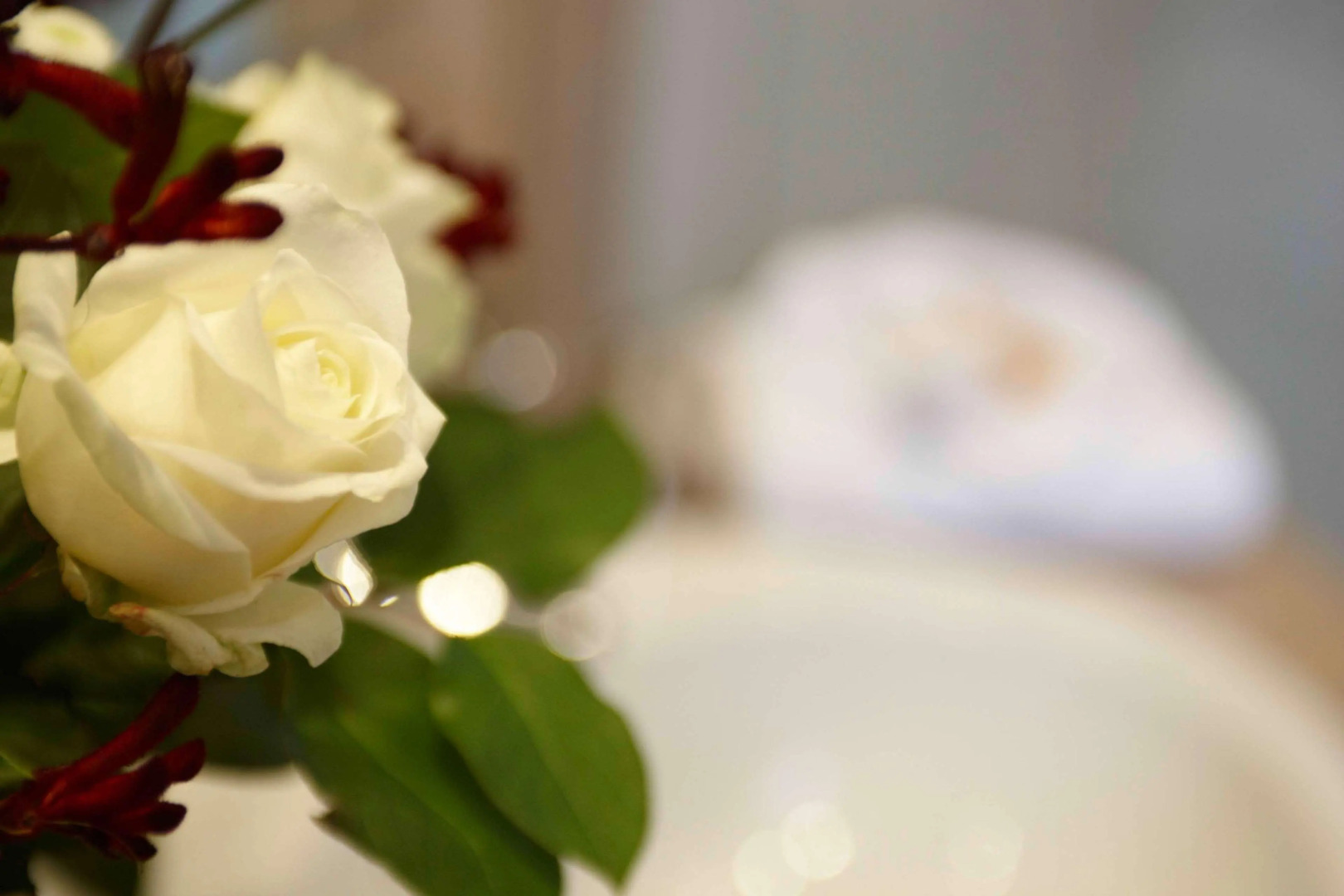 Hotel Kiel by Golden Tulip