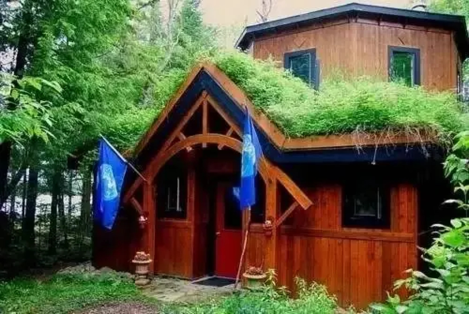 Northern Edge Algonquin