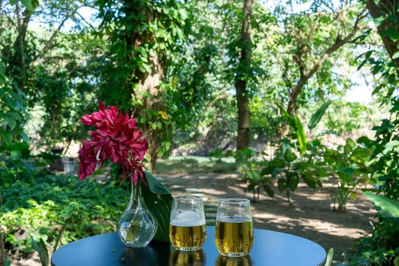 REFUGIO Sabaneta de Yásica