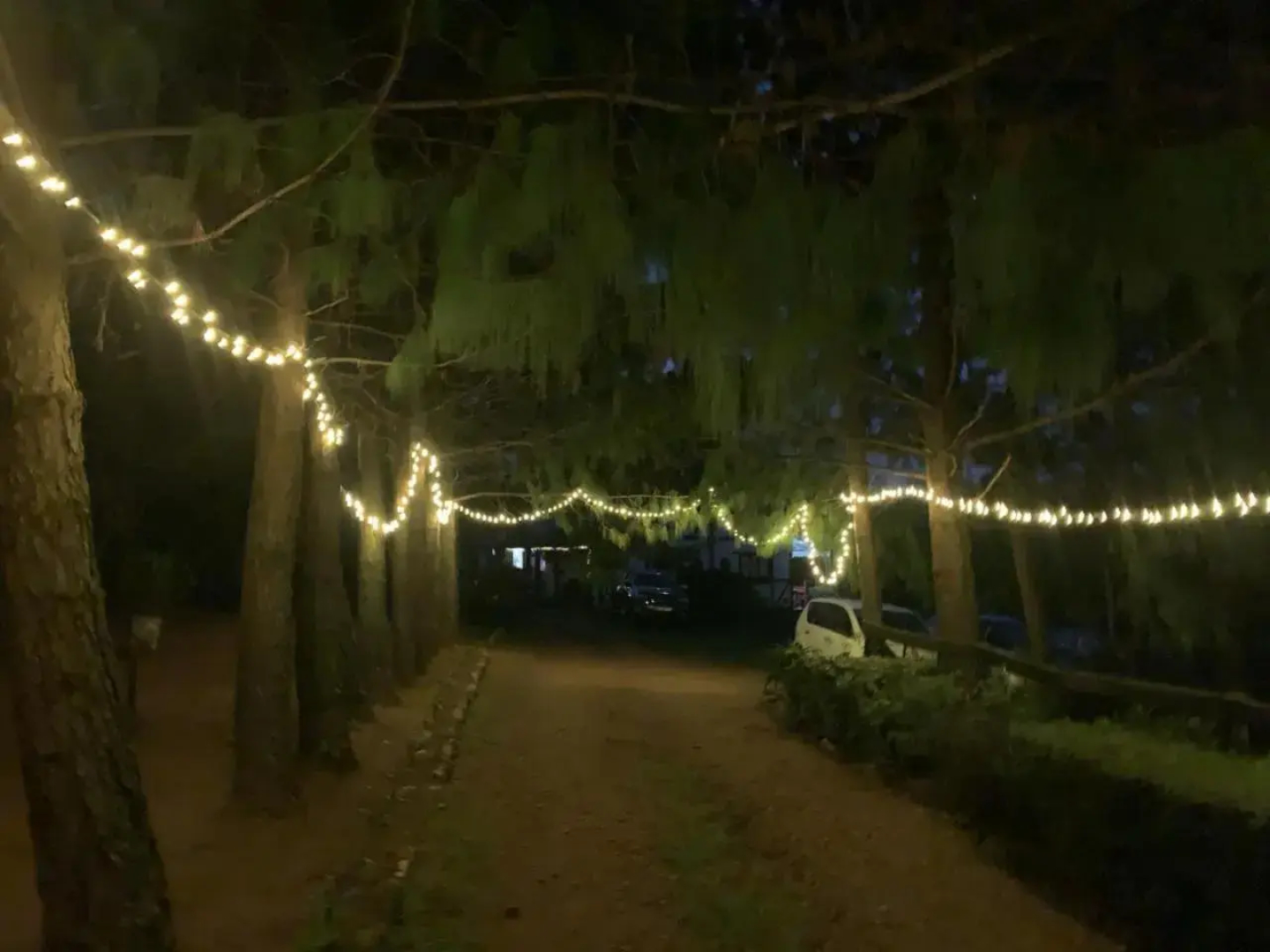 Woodcutters Guest House & Cottage