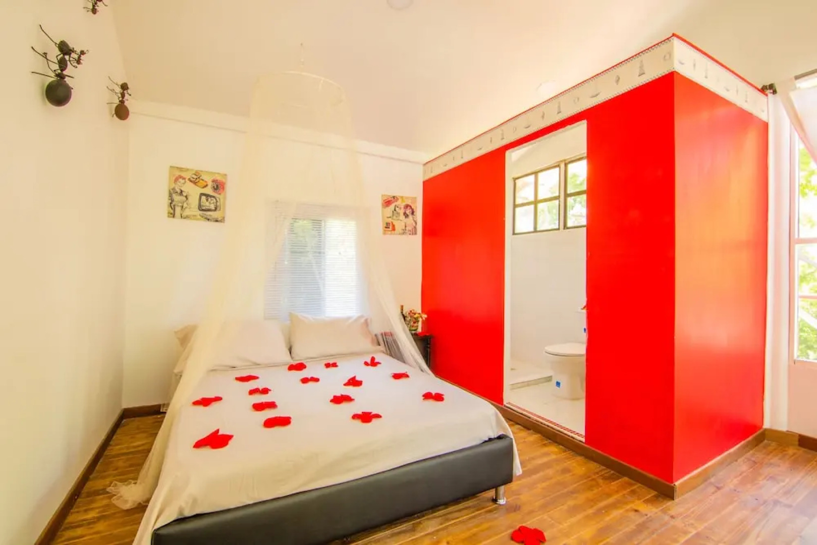 Eco Hotel Casa Lola - Hostel