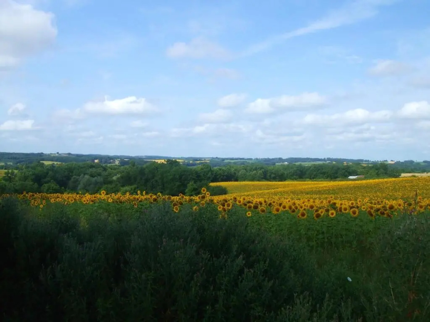 Maison de 2 chambres avec piscine partagee terrasse amenagee et wifi a Estang
