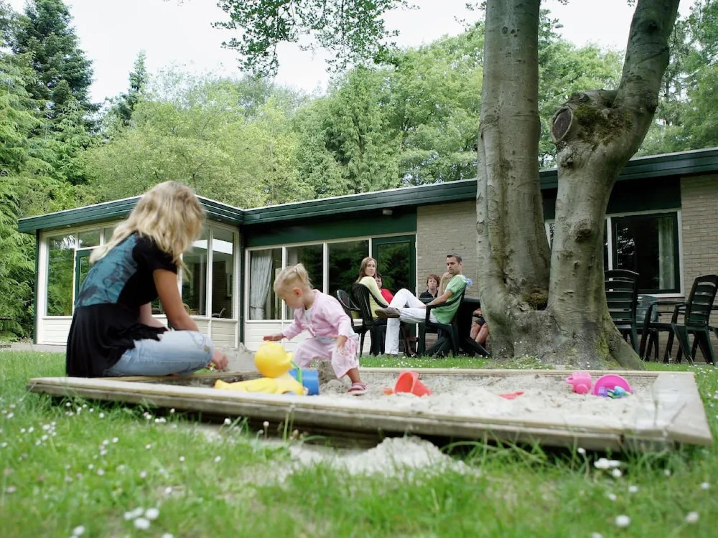 Cozy Home With Lots of Privacy, in the Forest