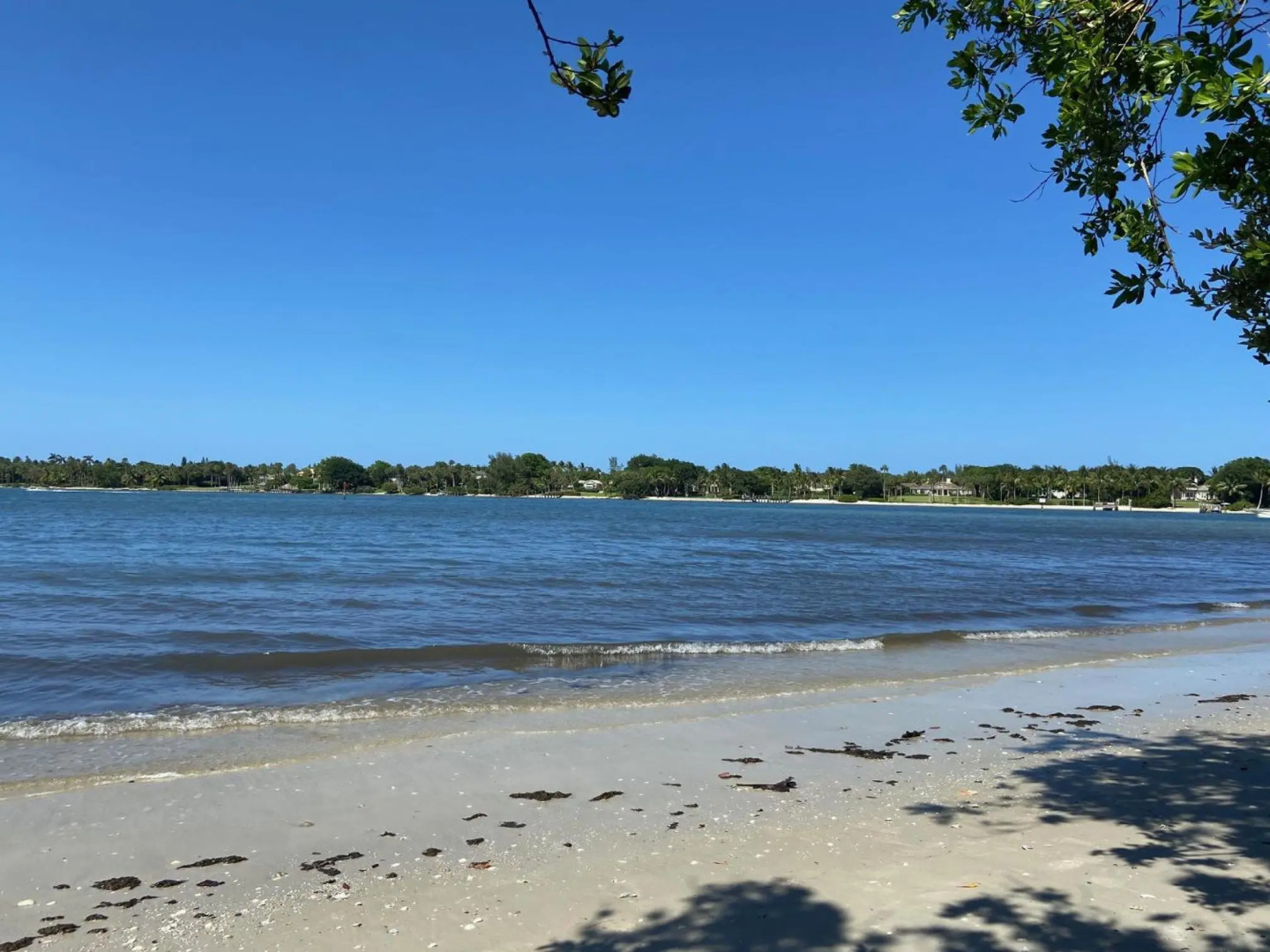 Mermaid's Lighthouse