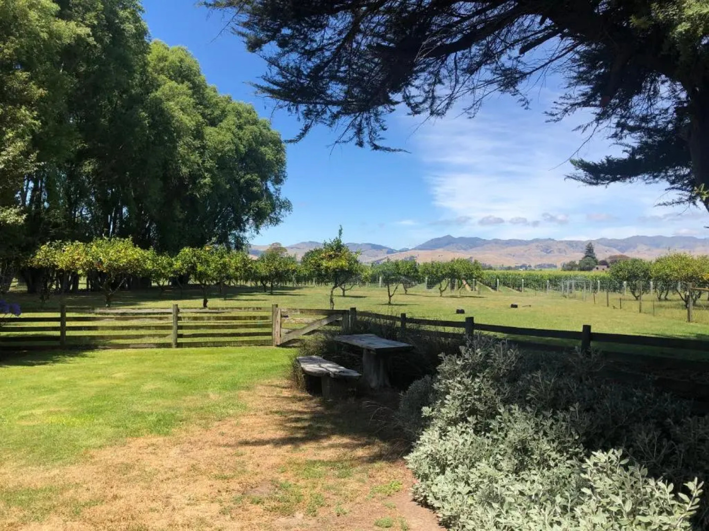 St Leonards Vineyard Cottages