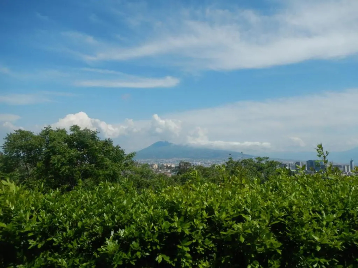 Zia Bi Bed and Breakfast