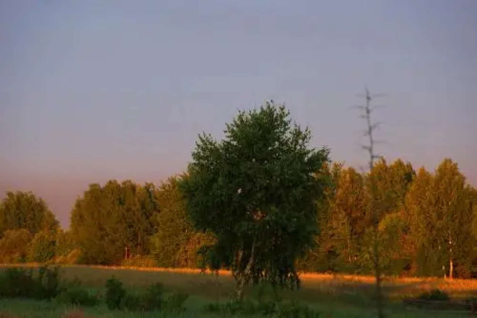 Agroturystyka Aleksandryn