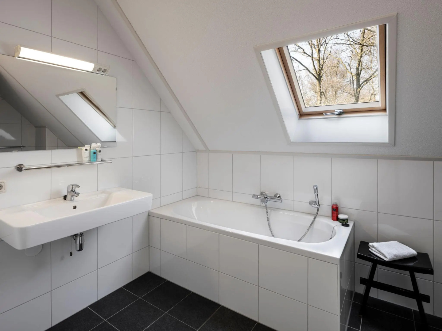 Thatched villa with two bathrooms, at 8 km. from Hoogeveen