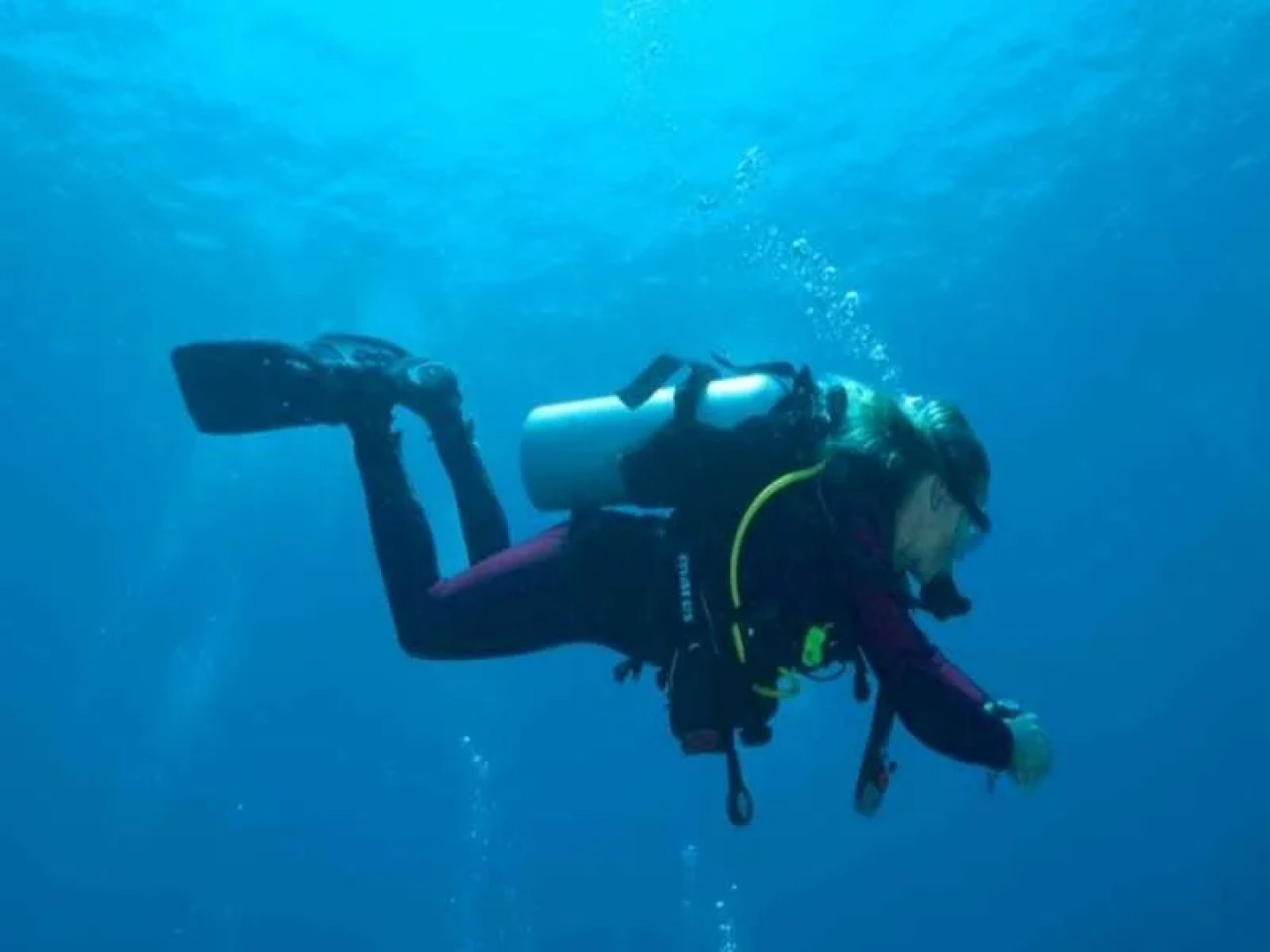 Bunaken Oasis Dive Resort and Spa