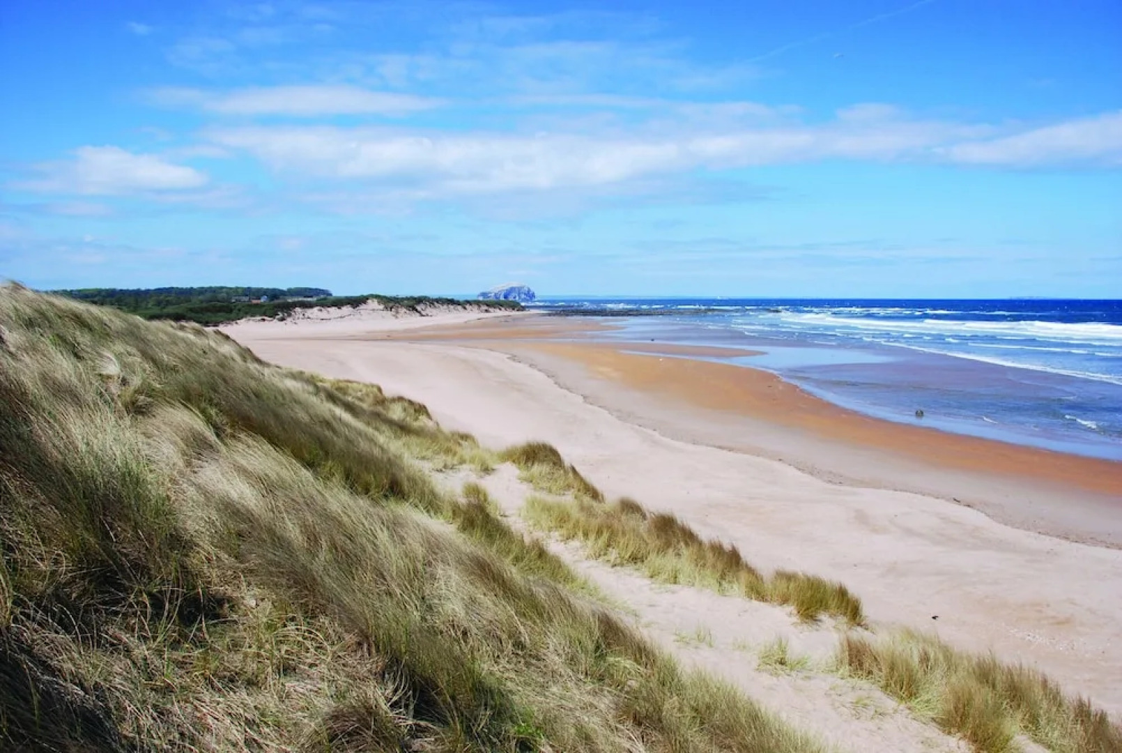Harvest Moon Treehouse