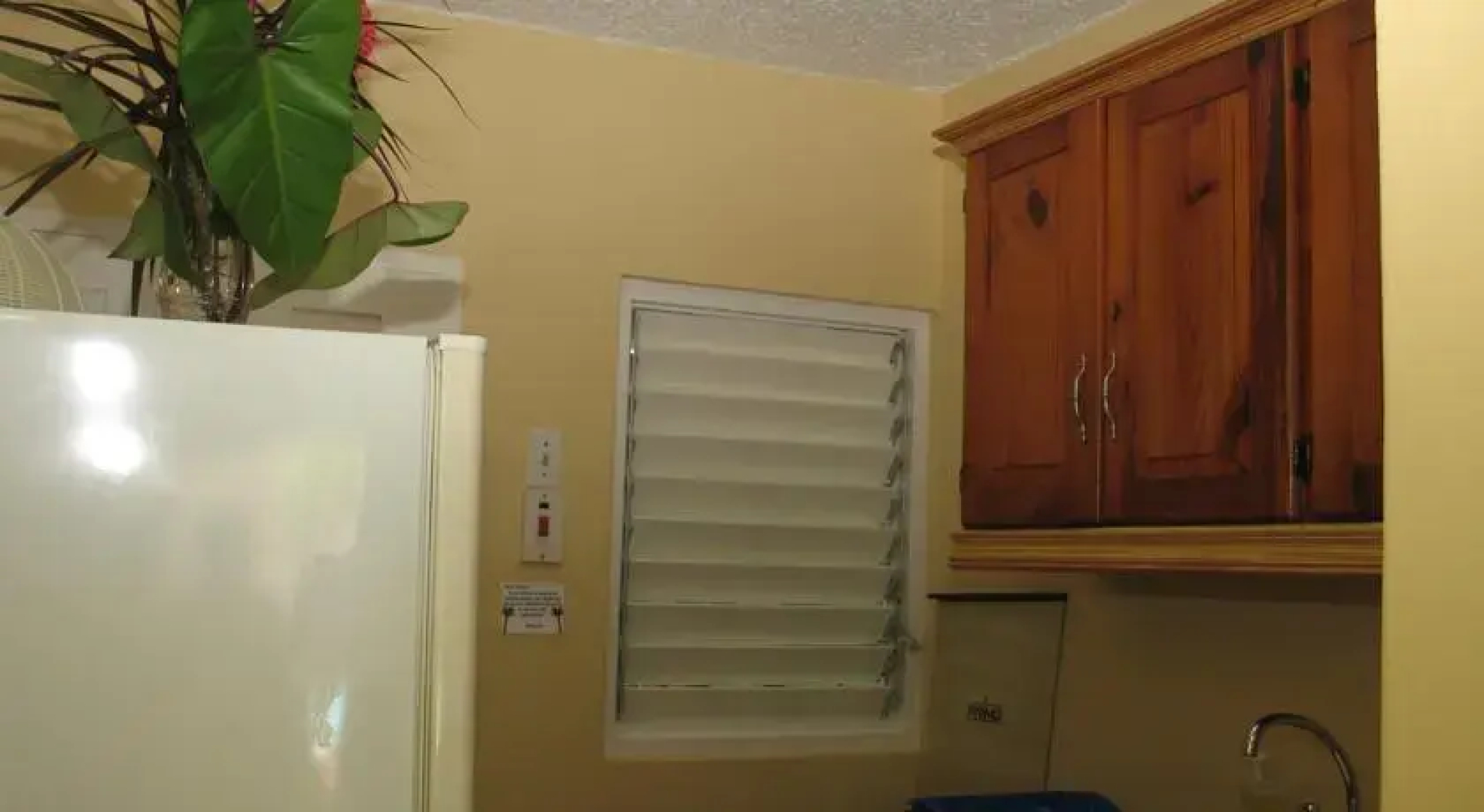 Chrisanns Beach Resort Apt 21