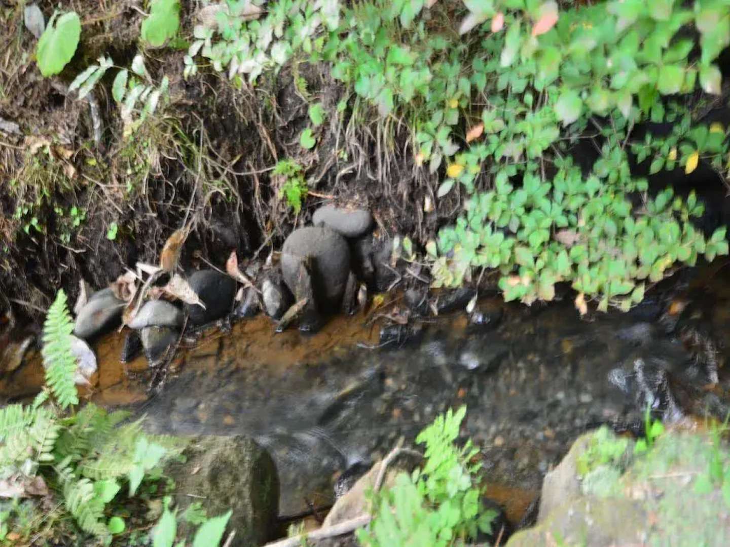 TKP Hotel & Resort Lectore Karuizawa