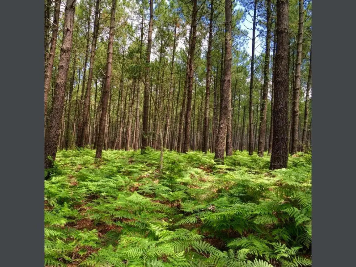 Appartement Résidence Saint Jours - Centre ville